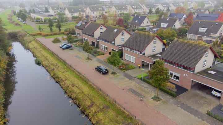 Foto 60 van Tureluur 8