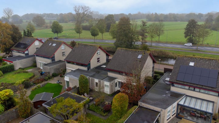 Foto 3 van Tureluur 8