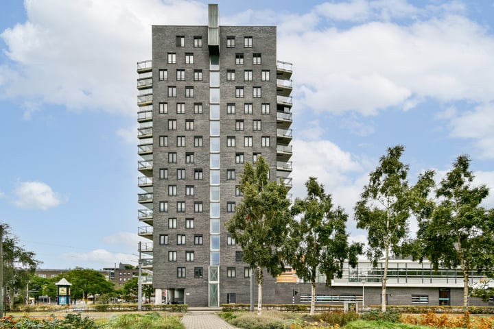 Bekijk foto 13 van Lambertus Zijlplein 50