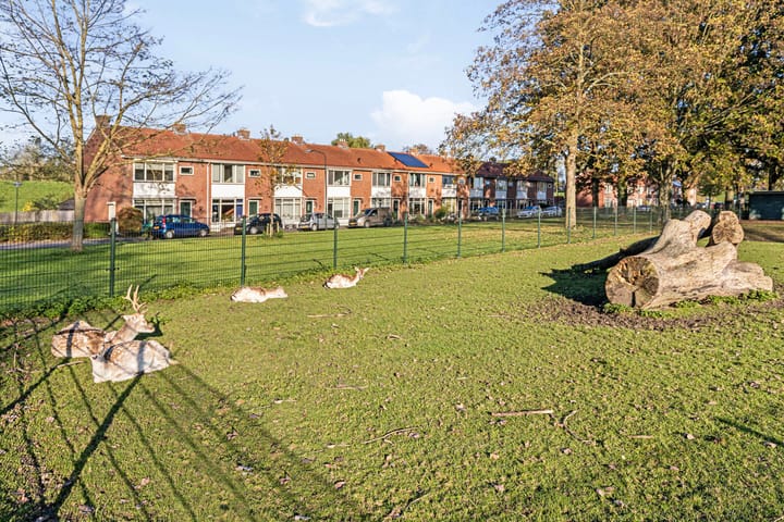 Foto 5 van Burgemeester van der Lelystraat 71