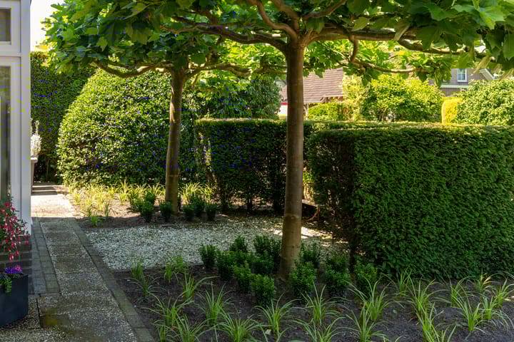 Foto 68 van Oranjestraat 42