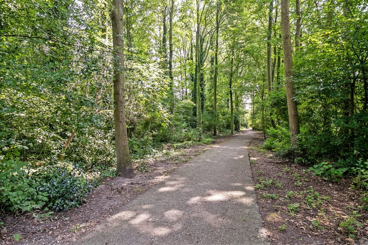 Photo 26 of Godijn van Dormaalstraat 106