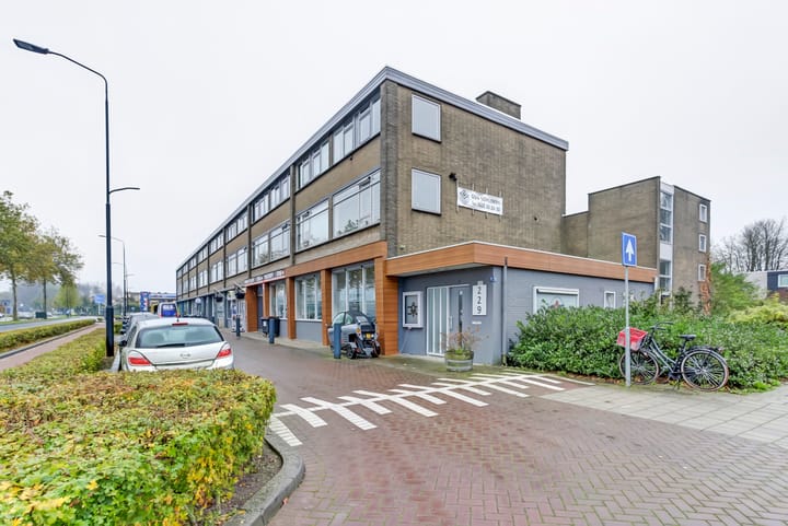 Foto 2 van Dommelstraat 22