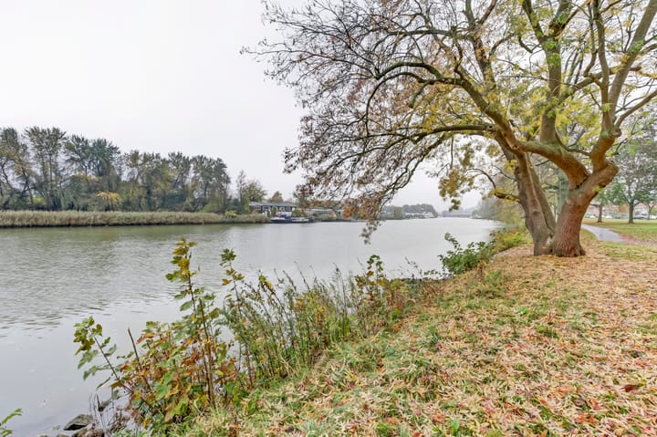 Foto 26 van Dommelstraat 22