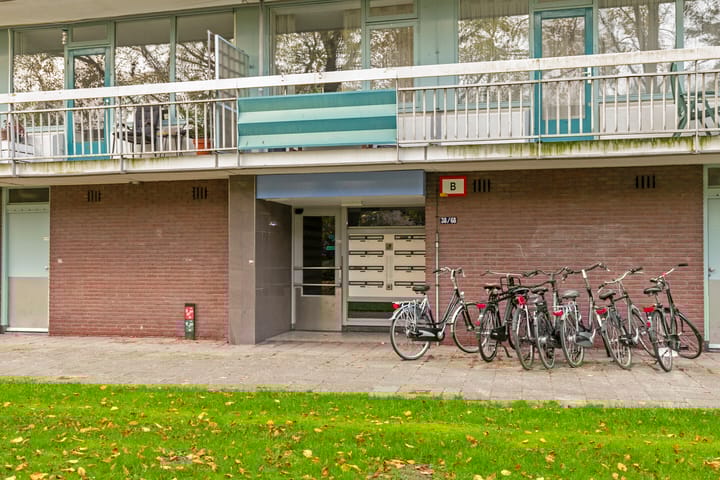 Foto 29 van Zangvogelweg 42