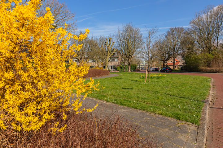 Bekijk foto 36 van Meervlietstraat 167