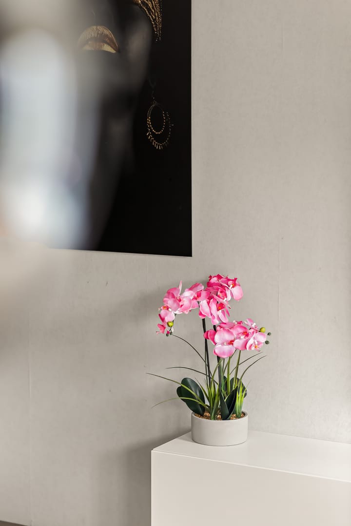 Foto 18 van De Willem Ruysstraat 13