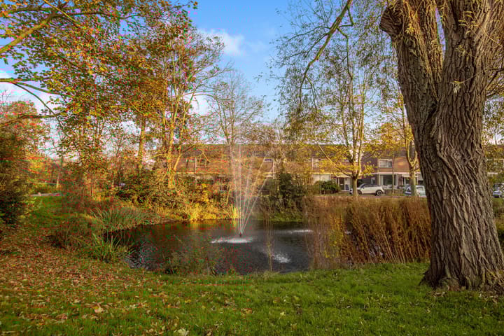 Foto 33 van Vierakkers 16