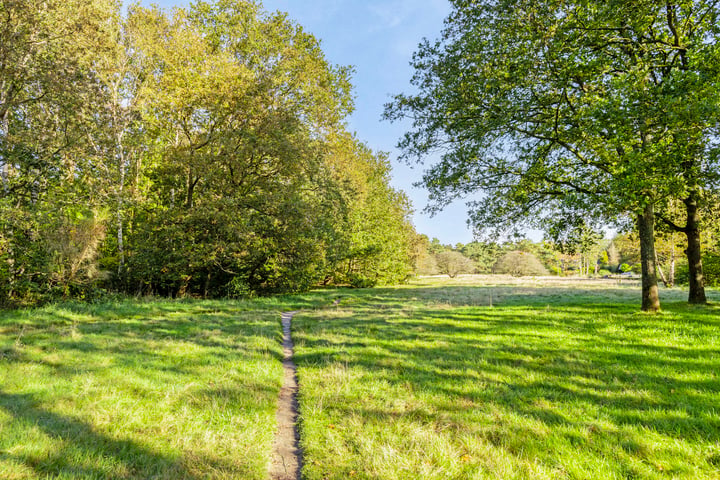 View photo 51 of Ruiterweg 3