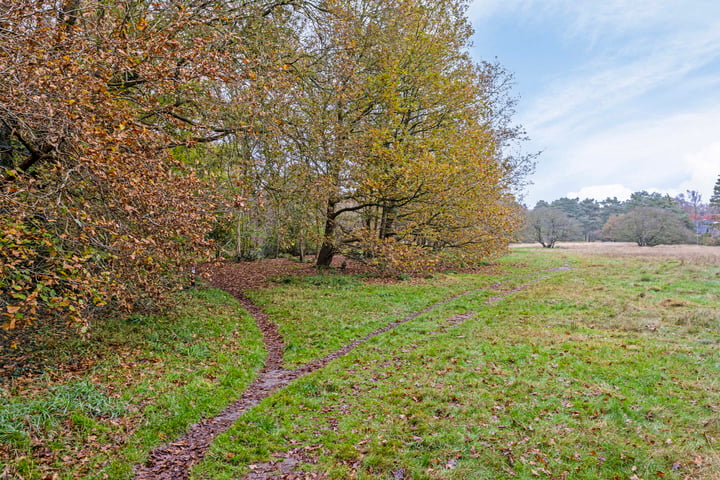 View photo 55 of Ruiterweg 3