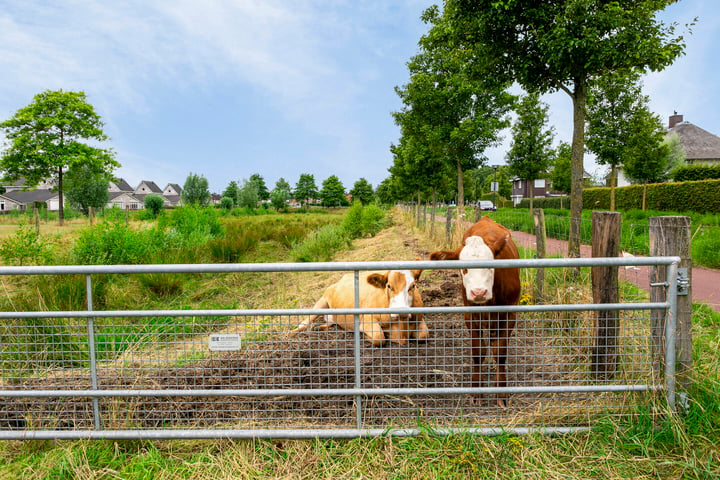 Bekijk foto 45 van Stapelenlaan 11