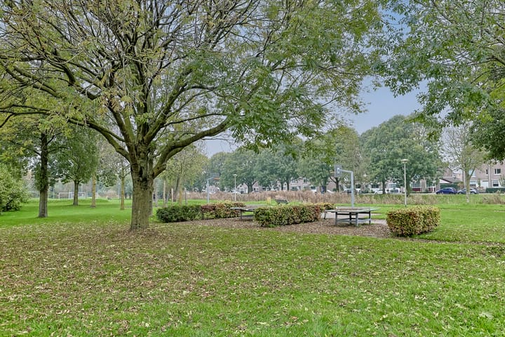 Foto 53 van Spuisluis 24