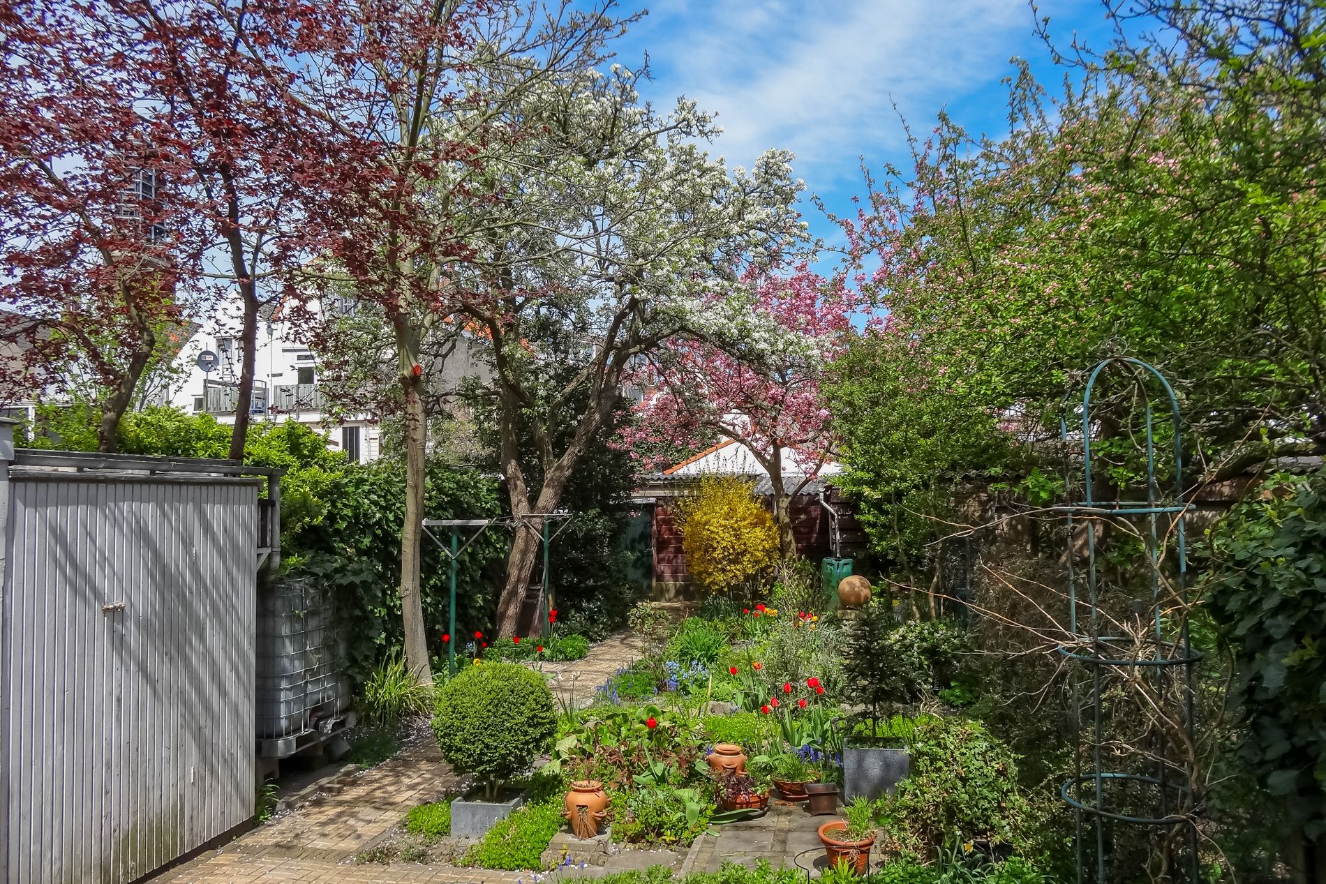 Foto 39 van Badhuisstraat 102