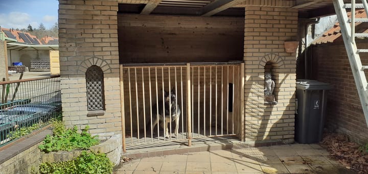 Photo 9 of Floris Vosstraat 8