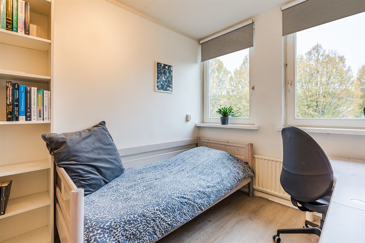 Bekijk foto 41 van Bethesdastraat 27