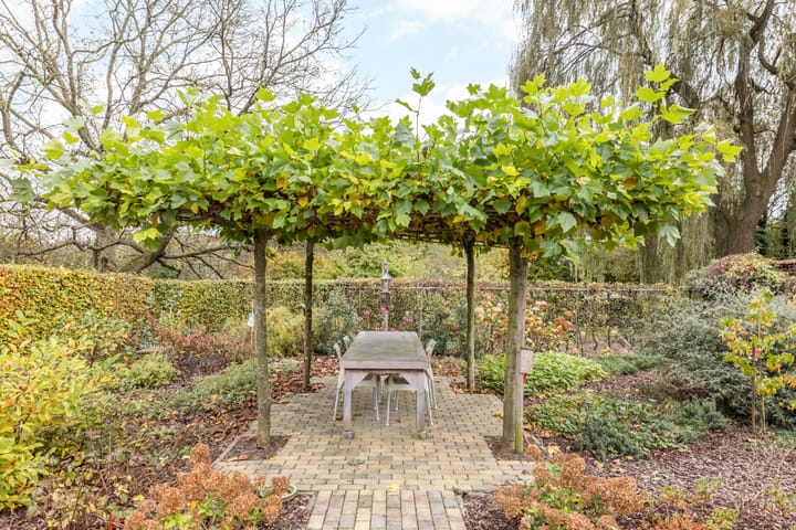 Foto 62 van Rinckberg 31