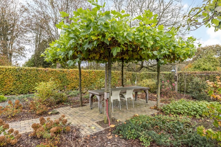 Foto 66 van Rinckberg 31