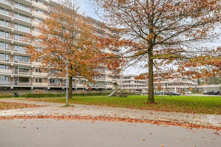 Bekijk foto 4 van Grote Beerstraat 370