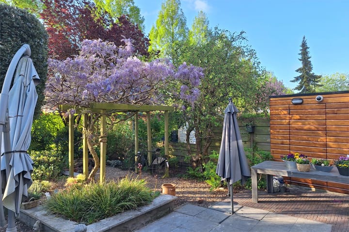 Foto 35 van Branco 16