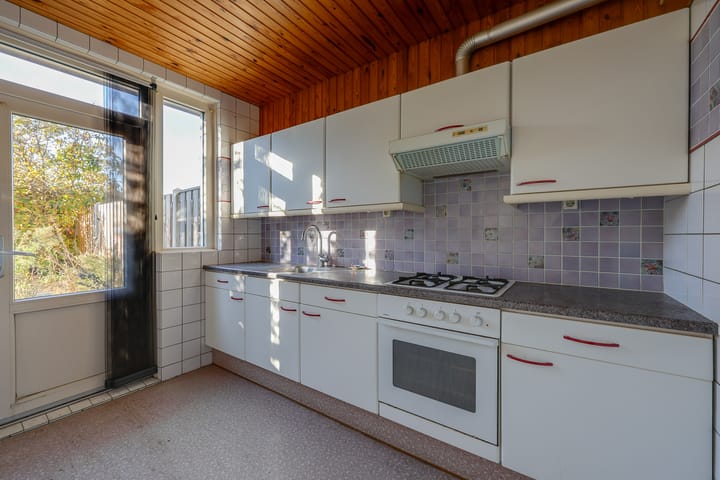 Foto 9 van Griend 36 53