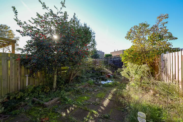 Foto 29 van Griend 36 53