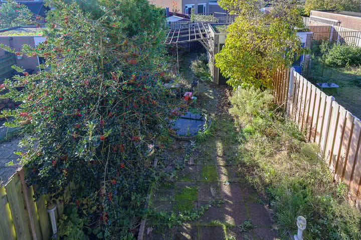 Foto 32 van Griend 36 53