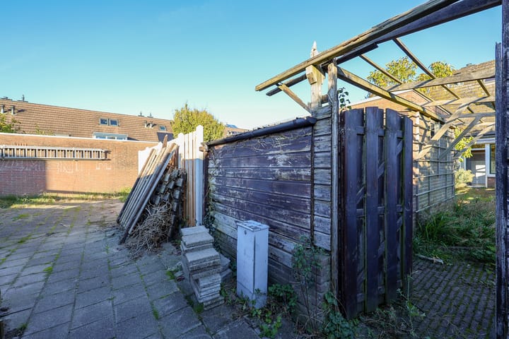 Foto 39 van Griend 36 53