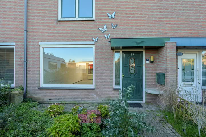 Foto 42 van Griend 36 53