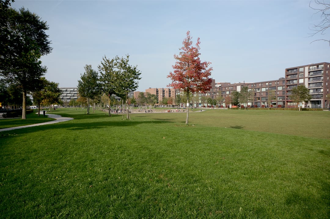 Foto 32 van Rini Ottehof 30