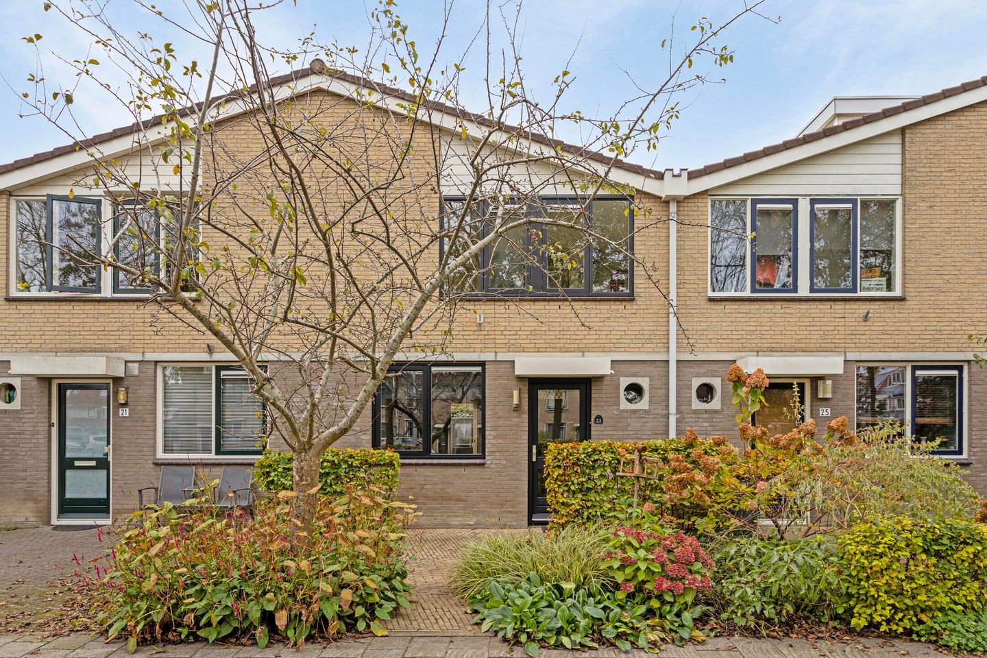 Foto 1 van Kramsvogel 23