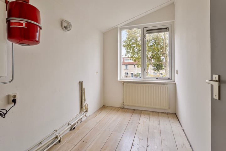 Foto 20 van Kramsvogel 23