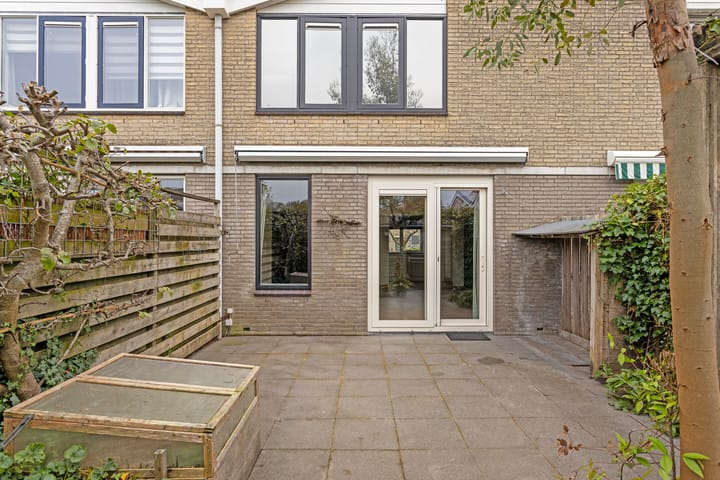 Foto 24 van Kramsvogel 23