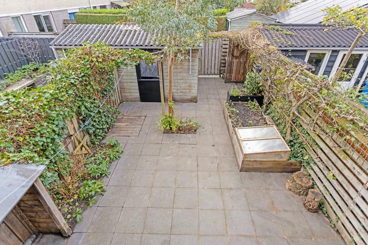 Foto 28 van Kramsvogel 23