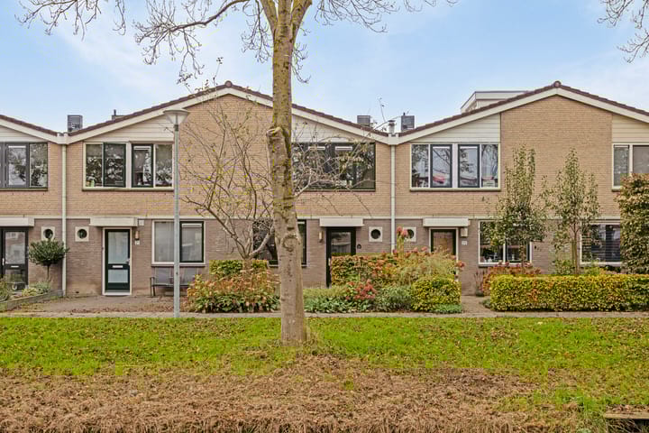 Foto 30 van Kramsvogel 23