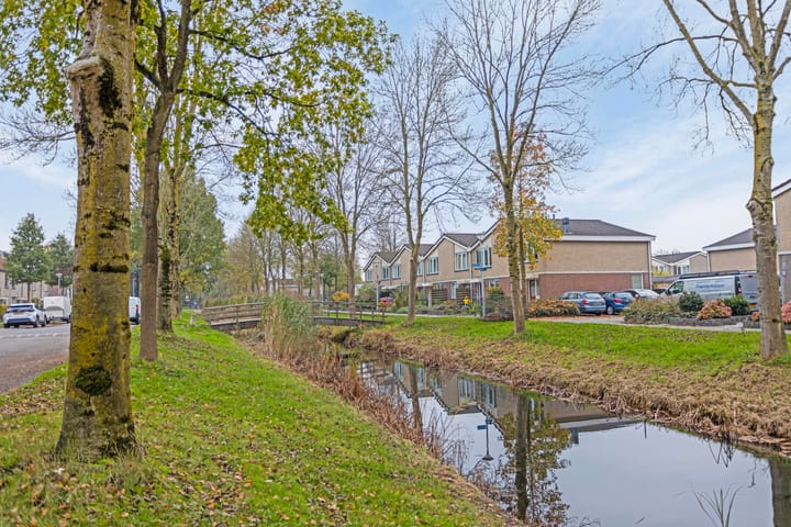 Foto 34 van Kramsvogel 23