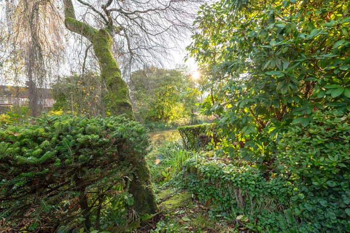 Foto 23 van Bouwmeestershoeve 18