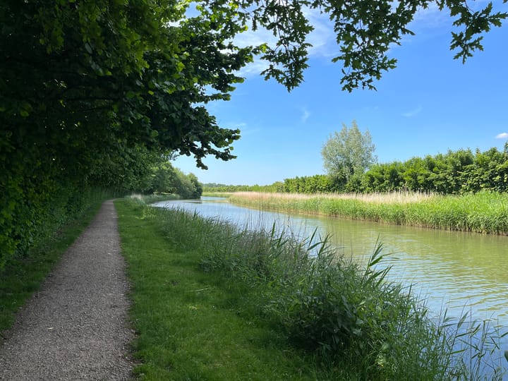 Photo 98 of Wageningsestraat 65