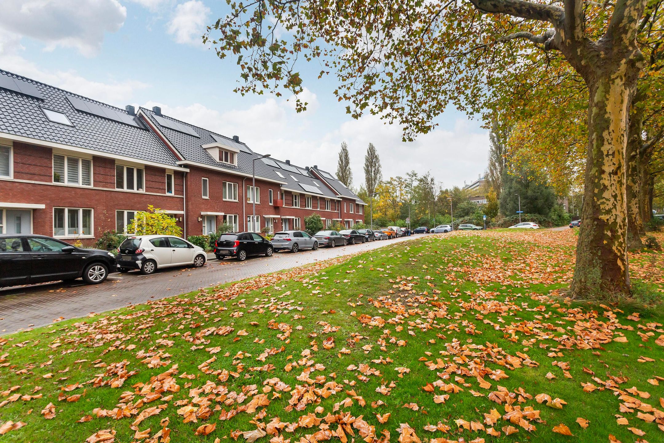 Foto 39 van Schout Van der Lelylaan 11