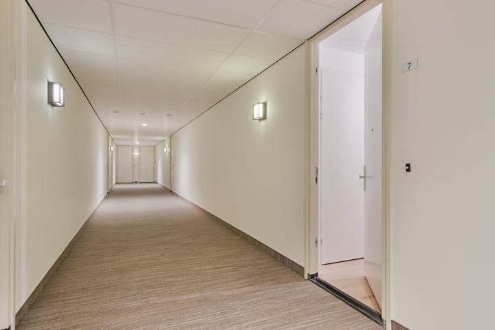 Foto 8 van Westerschelde 7