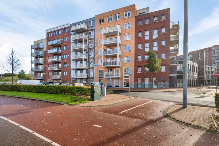 Foto 5 van Westerschelde 7