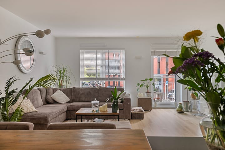 Foto 12 van Westerschelde 7