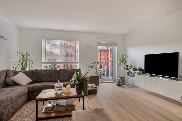 Foto 14 van Westerschelde 7