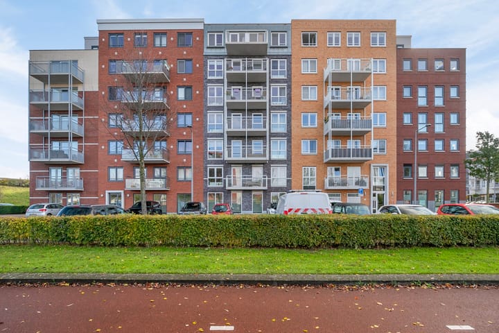 Foto 6 van Westerschelde 7