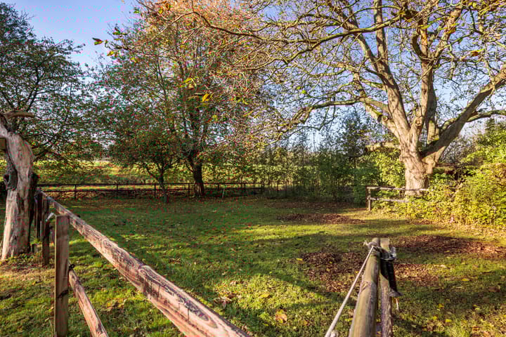 Foto 4 van Cortenoeverseweg 77