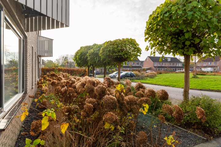 Foto 4 van Vogelwikke 8