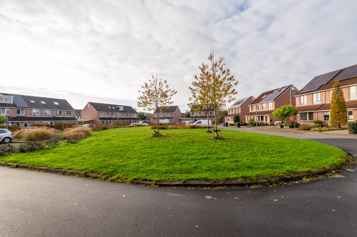 Foto 5 van Vogelwikke 8