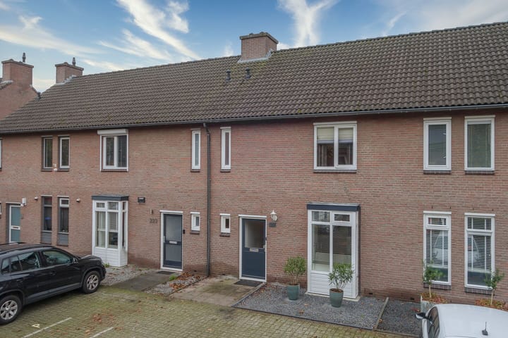 Foto 3 van Schepenhoek 225