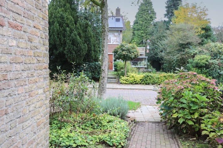 Foto 48 van Willem Degenstraat 8