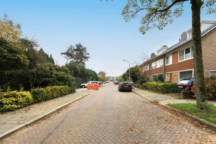 Foto 54 van Willem Degenstraat 8