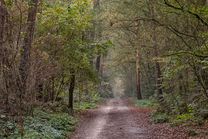 Foto 58 van Bergstraat 7